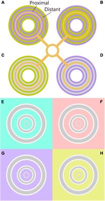 Influence of Stimulus Size on Simultaneous Chromatic Induction